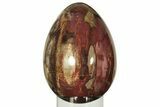 Colorful, Polished Petrified Wood Egg - Madagascar #211144-2